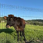 Stodola Na Drobnym Wierchu