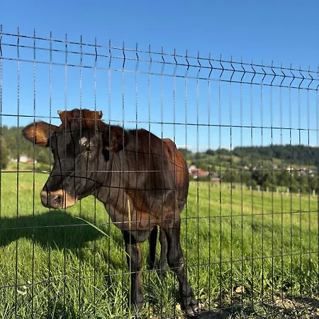 Stodola Na Drobnym Wierchu